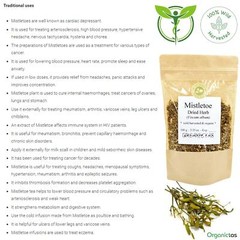 MISTLETOE Herb Viscum Album Tea Organic Dried Loose Herbal Infusion Top Quality