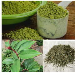 Dried Insulin Plant Leaves Costus Igneus Thebu Organic Natural Herbal Tea