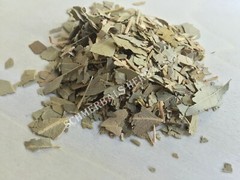 Eucalyptus, Eucalyptus globulus, Leaf ~ Schmerbals Herbals