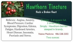 Hawthorne Tincture~Heart Angina, Edema & Cardiac Dis-ease, Calms Blood Pressure
