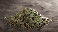 Eucalyptus Leaf Herb 1 oz – Organic Cut & Sifted | Respiratory Support