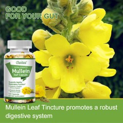 Mullein Capsules 1500 Mg | 120 Capsules | Mullein | Antioxidants