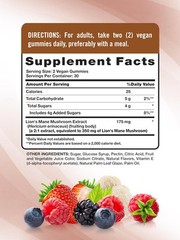 Lion’s Mane Mushroom | 60 Vegan Gummies | Mixed Berry Flavor | by Nature’s Truth