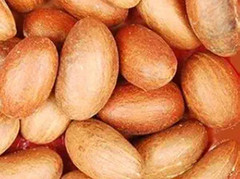 Bitter Kola Nut Garcinia Kola Cola 8 Oz, Free Shipping