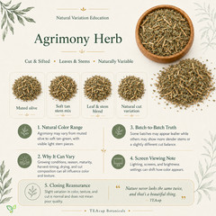 Organic Agrimony Herb & Powder Leaf | Whole Herb 1oz/4oz/8oz Natural Detox