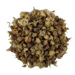 Gokhru ,Pedalium Mures, Land Caltrops, Gorkhu – Gokshura 50gm / 1.76 oz