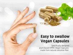 DR WAKDE’S Neem & Turmeric Capsules | 60 Veg Caps | Ayurvedic Supplement | Ve…