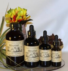 BRAHMI Tincture Bacopa Energy Mentality Health Strong Organic Folk Remedy ~