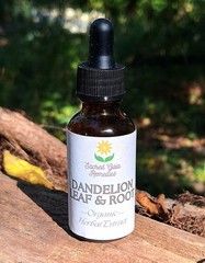 Dandelion Leaf & Root Extract, Fresh Organic Liquid Herbal Liver Digestive