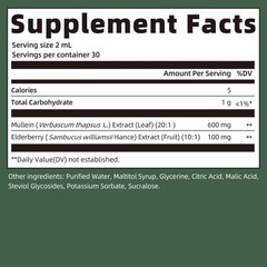 Mullein & Elderberry Liquid Tincture – Advanced Respiratory Support, 2 FL OZ