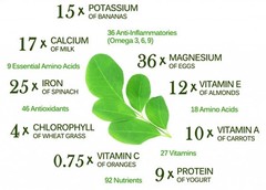 Organic Moringa Seeds | Moringa Oleifera | Dried, Non GMO, Edible,Planting