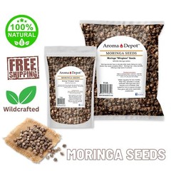 Moringa Seeds WITH WINGS Semillas de Moringa oleifera Pepa Malunggay Wholesale