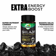 Zandu Shilajit (60 Caps) Ayurvedic Herbal Ayurvedic Sexual Wellness