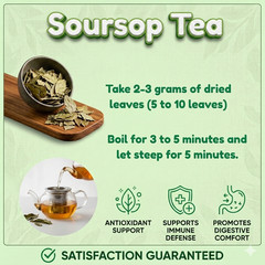 Soursop leaves, soursop leaf – 2 oz – Natural organic graviola leaves for tea