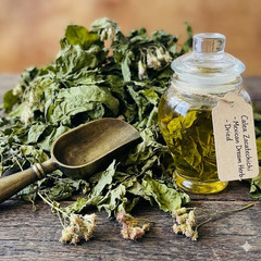 Premium Dreid Mexican Dream Herb (Calea Zacatechichi) | 100% Pure Organic | 500g