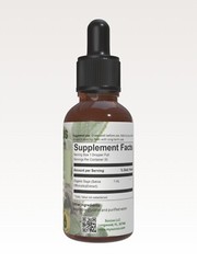 Sage Tincture – Mental Clarity and Oral Health (Alcohol Free)