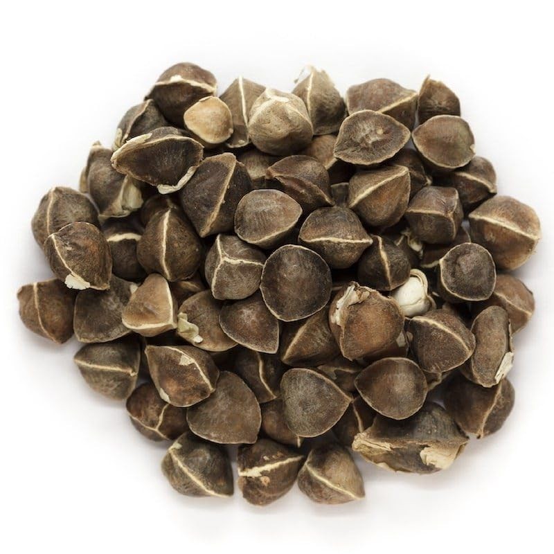 Moringa, Organic moringa Oleifera,Premium moringa seeds, semillas de moringa