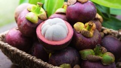 Cardiovascular Wellness Solution – MANGOSTEEN COMPLEX – Heart Health Support 1B