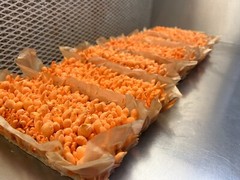 LIONS MANE x CORDYCEPS & REISHI x TURKEY TAIL. DUAL EXTRACT US GROWN -SET