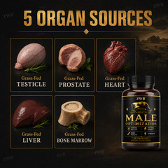 Men’s Health Organ Complex Capsules, Bovine Testicle Liver Heart Prostate