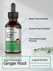 Ginger Root Liquid Extract | 2 fl oz | Alcohol Free | Vegetarian | by Horbaach
