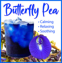 Butterfly Pea Flower Tea – Liquid Extract Tincture – Easy Drops – Cool Blue – US