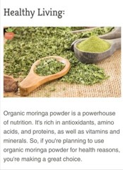 Moringa oleifera Leaf Powder 100% Pure Natural Superfood Gluten Free 100g