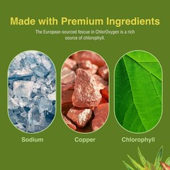 Herbs Etc. ChlorOxygen Chlorophyll Concentrate, 120 Softgels, 2 Pack