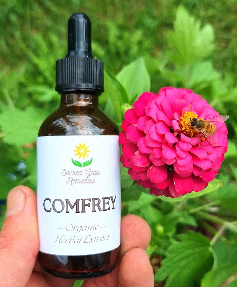 Comfrey Tincture, Repairs Bones, Cartilage & Tissue, FRESH Herbal Extract