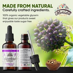 FLORIDA HERBS Eleuthero Tincture, Organic 2 Fl Oz (Pack of 1)