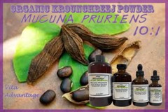 Mucuna Pruriens Tincture Highest Quality 10:1