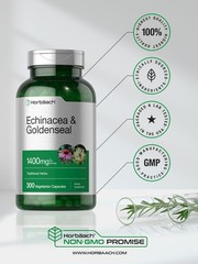 Echinacea Goldenseal Capsules 1400mg | 300 ct | Vegetarian, Non-GMO | Horbaach