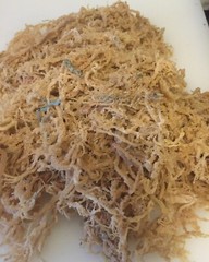 Sea Moss, Irish Moss Bulk unbranded 5 Lbs. Natural and fresh. Quality brand.