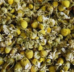 Camomile Tea – Loose Dried Chamomile Flowers – Matricaria Recutita – USA grown