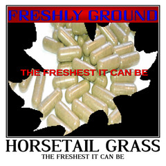 HORSETAIL GRASS Silicia Calcium Fresh Freshest It Can Be 100 V Capsules