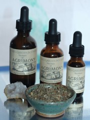 AGRIMONY Tincture Anti-inflammatory Detox Nourish ORGANIC FOLK Remedy Extract
