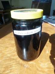 Bearberry Tincture: STDs, UTIs, Lymph,VD, Prostrate Staph-Strep Infections 2 oz.