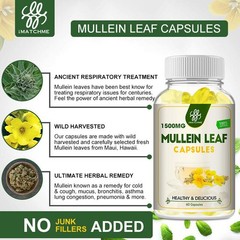 Mullein Leaf Capsules 1500MG For Lung Cleanse Detox Herbal Dietary Supplement US
