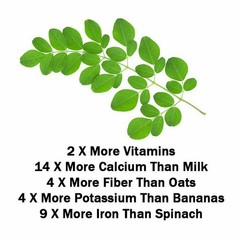 Organic Moringa Leaf Powder 100% Natural Oleifera Leaf Superfood Non-GMO Oz