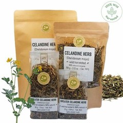 GREATER CELANDINE Herb Dried Organic Wild Harvested Chelidonium majus Herbal Tea