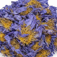 Egyptian Blue Lotus – Nymphaea caerulea – Organic Whole Flower – USA Shipping