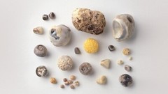STONE BREAKER – BEST HERBAL FORMULA – GALLBLADDER&STONES – GALLSTONES&BREAKER