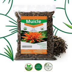 Té De Muicle Hierba Mexicana Natural 2 oz Infusión Planta Silvestre Seca
