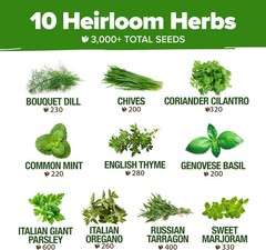 Heirloom Herb Seeds Variety Pack: 5100+ Seeds for Indoor & Outdoor Gardening
