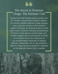 WellRus Premium Freeze-Dried Siberian Chaga Extract Powder