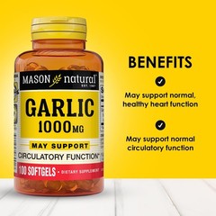 MASON NATURAL Garlic Oil 300 Day Supply Softgels, 100 Count (Pack of 3)