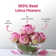 Blue Lotus Flowers (Nymphaea Caerulea) 1.41oz (40g) BLUE TEA – Lotus Flower Tea
