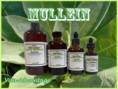 Mullein Liquid Herbal Extract Highest Quality Tincture