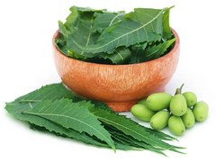 Neem Leaf Organic – Flakes or Powder 1/4/8 oz | Natural Cleansing Herb