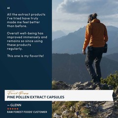 Forest Prana Pine Pollen Extract Capsules – 50:1 Extract – 120 Count Bottle